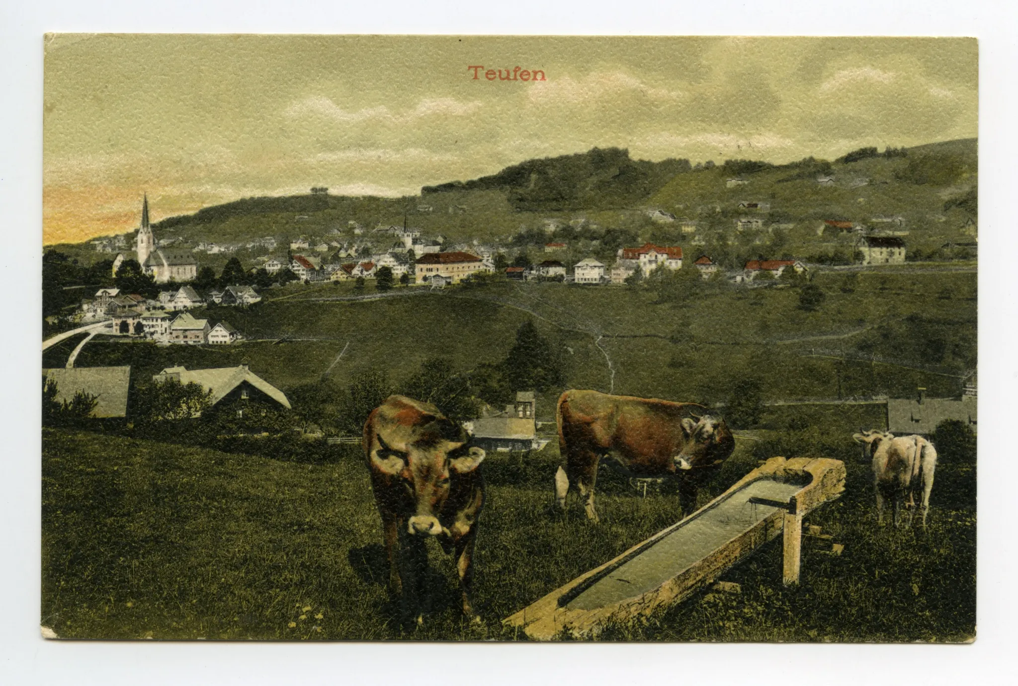 aus Gebiet Schlatterlehn, im Vordergrund Braunvieh an Holzbrunnen, mit Sammelbüel (alte Kath. Kirche), Zeughaus, Dorfzentrum, Blick zu Schwendibüel, Fernblick, Frölichsegg, Bad Sonder, Hüslersegg