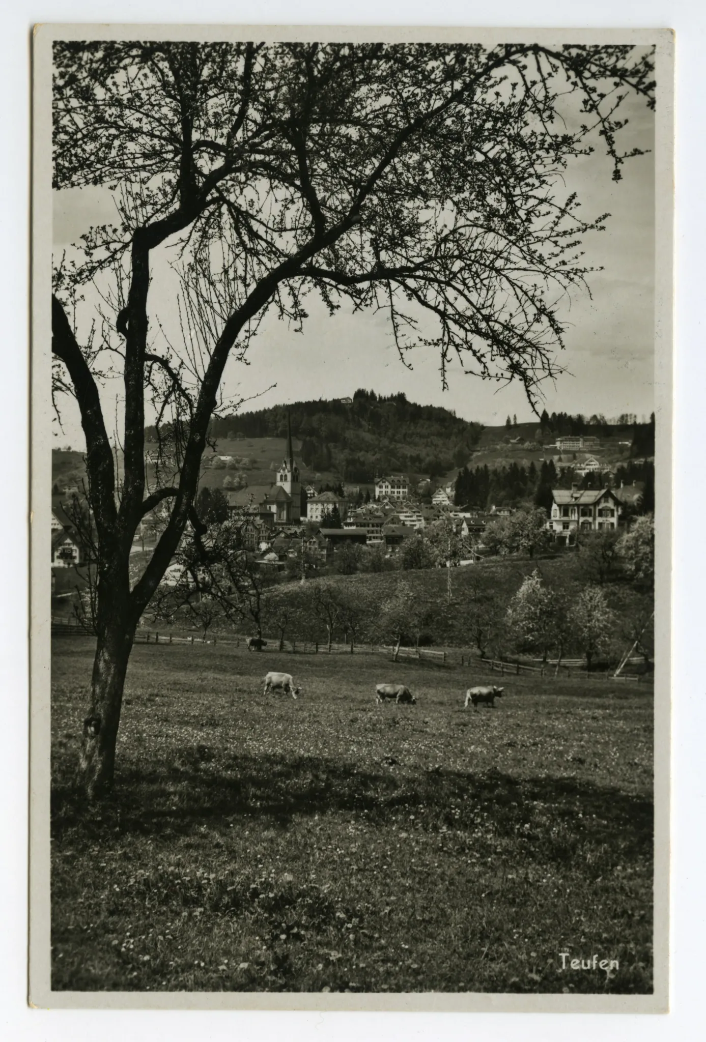 vom Schönenbüel. Mit Grubenmannkirche, Fernblick, Bad Sonder. Blick zur Frölichsegg