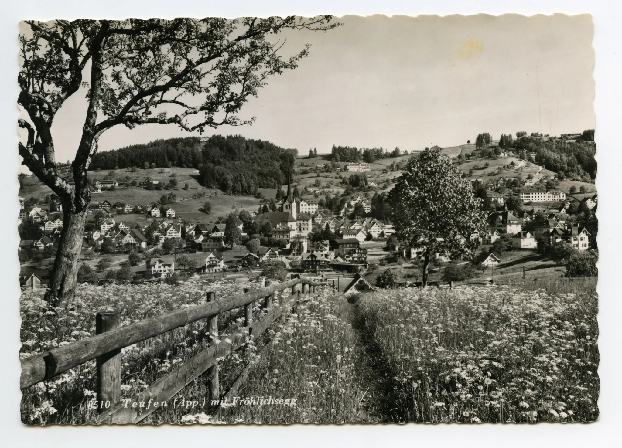 vom Schönenbüel, mit Bächli, Bahnhof/Krankenhaus, Bad Sonder, Fernblick. Blick zu Frölichsegg, Schäflisegg, Hüslersegg