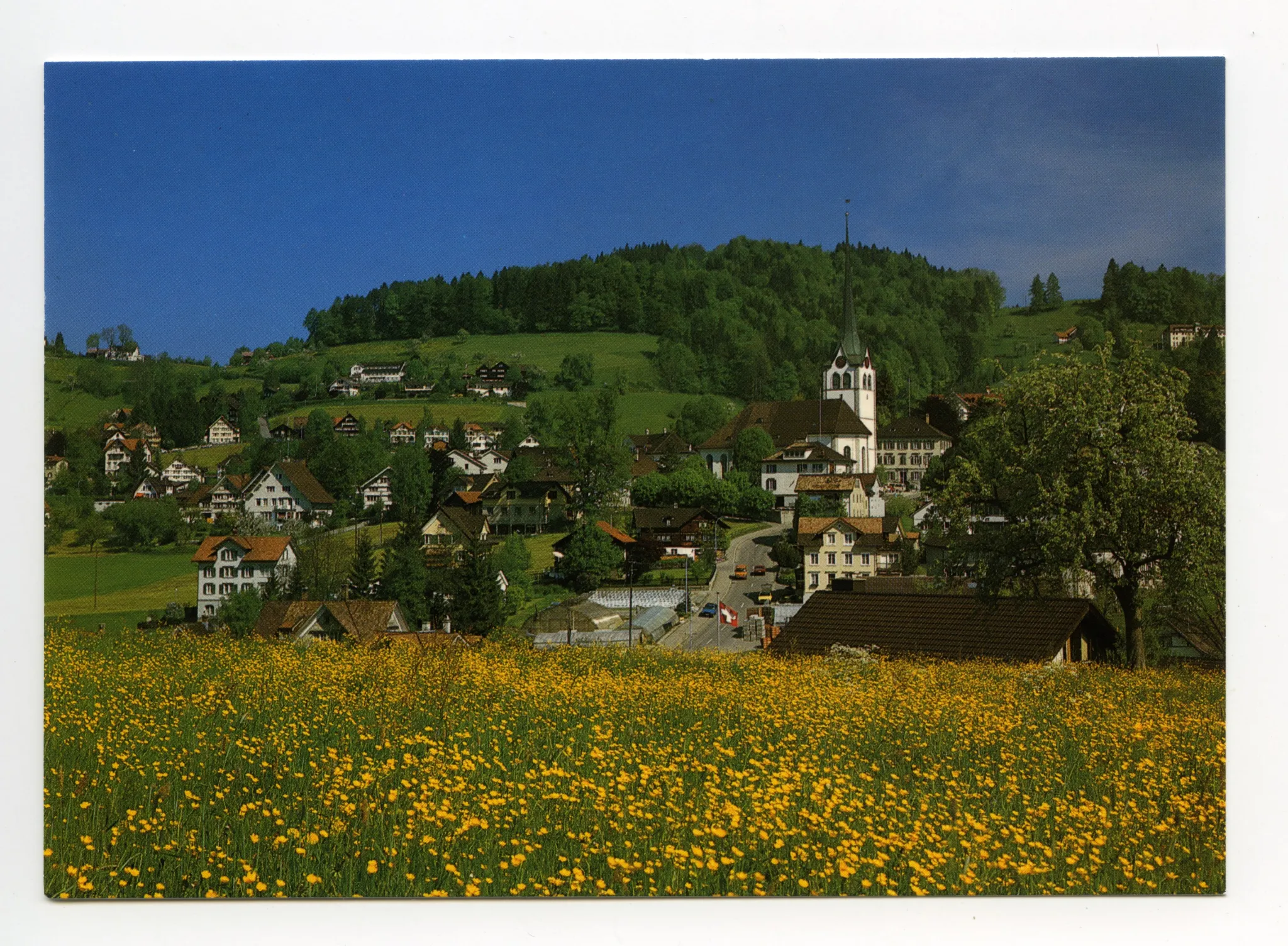vom Schönenbüel aus gesehen, vorne: Wiese mit Löwenzahn/Hahnenfuss, mit Grubenmannkirche. Blick zu Bad Sonder (z.T.), Frölichsegg, Fernblick, Frohe Aussicht