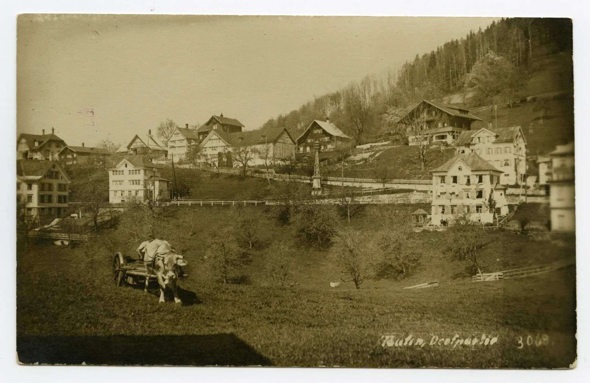 mit Elektromast und Kuh-Fuhrwerk auf Wiese beim Jaucheaustrag (vgl. Hc.21-02)