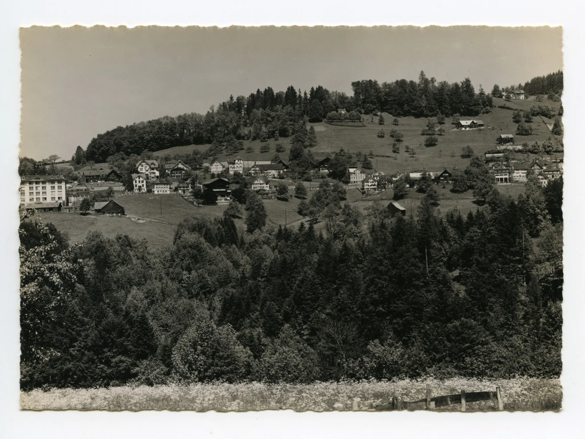 von ennet dem Bachtobel gesehen / Gebiet Bündt, Eggli, Schlipf. Blick zur Frohen Aussicht