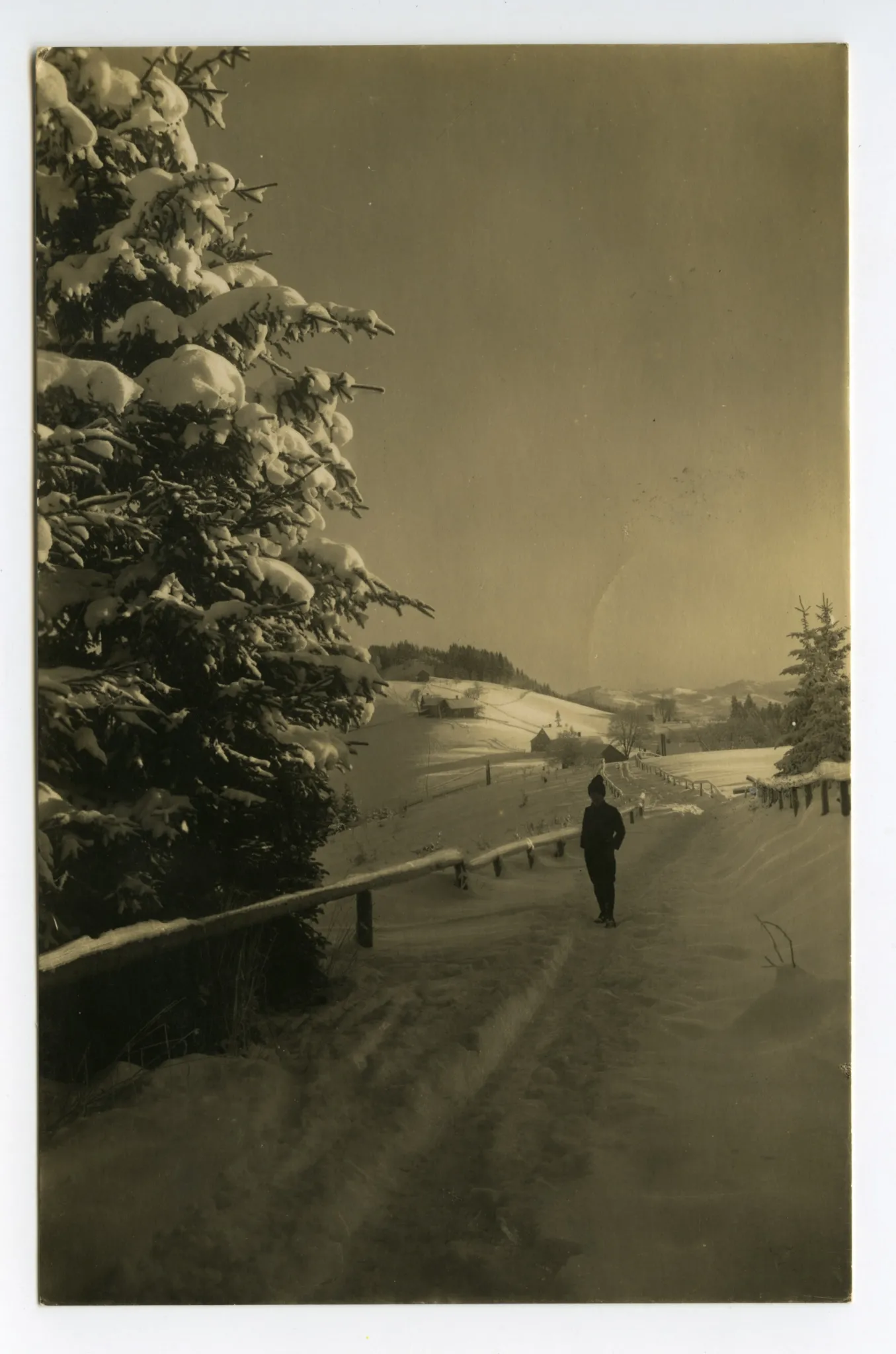 Bei der Waldegg, Winter