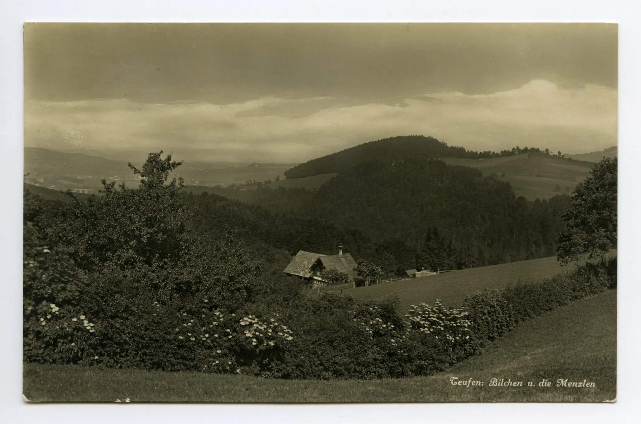 Blick zum Menzlen-Wald