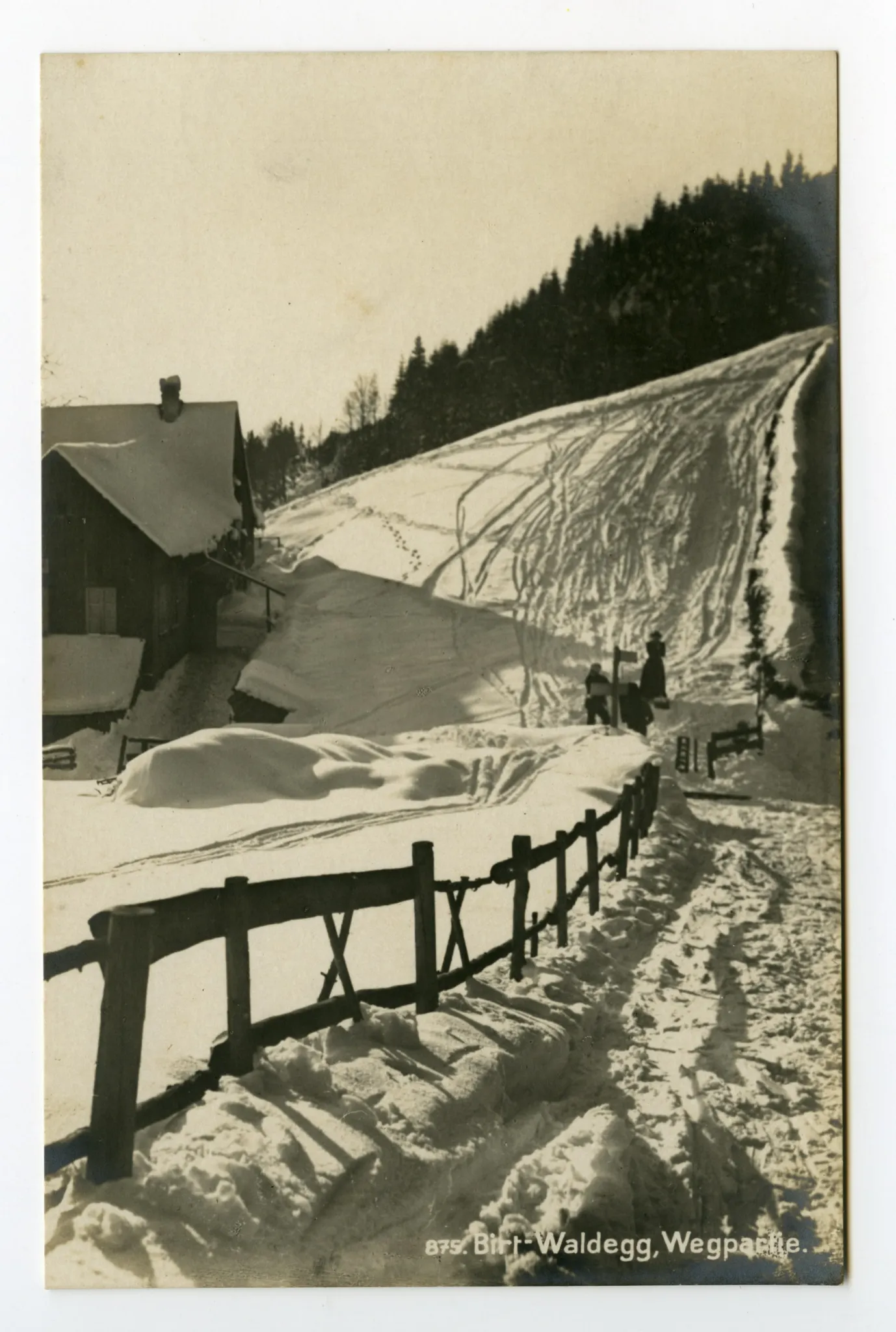 Weg Birt – Waldegg