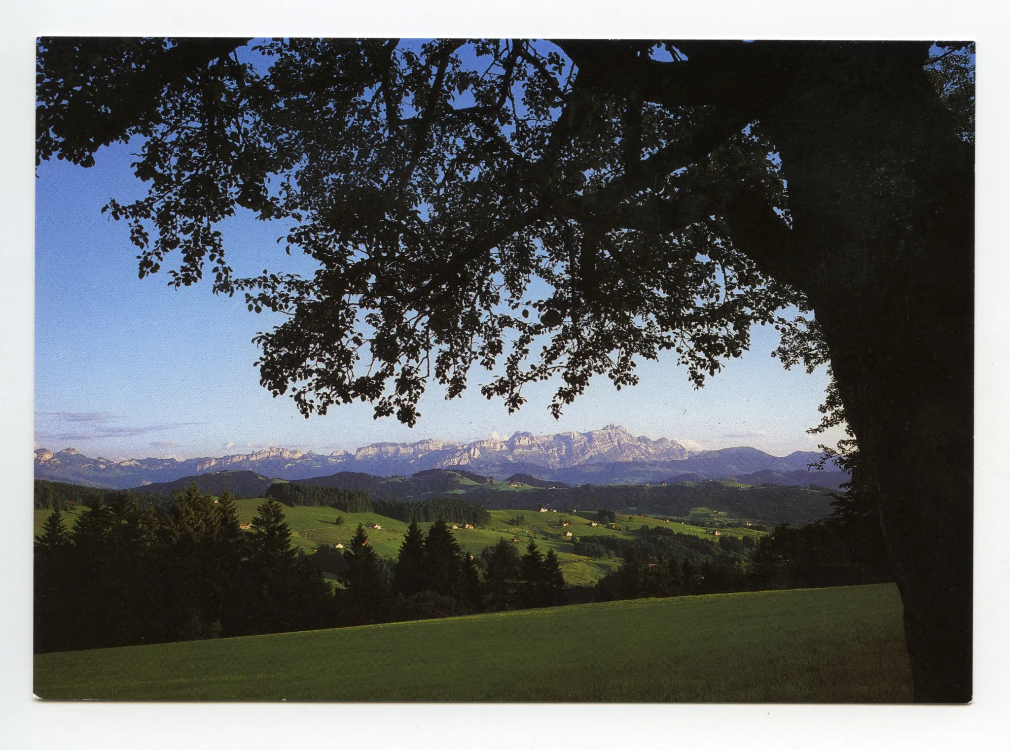 Blick von der Waldegg zum Alpstein