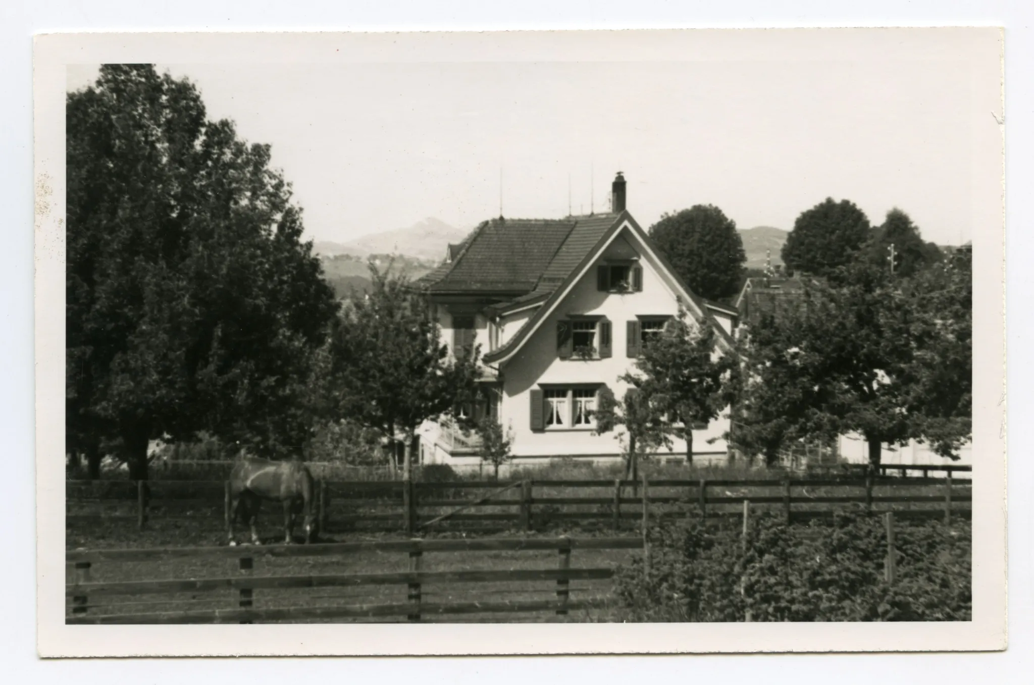 Privathaus, Hechtstrasse 8b