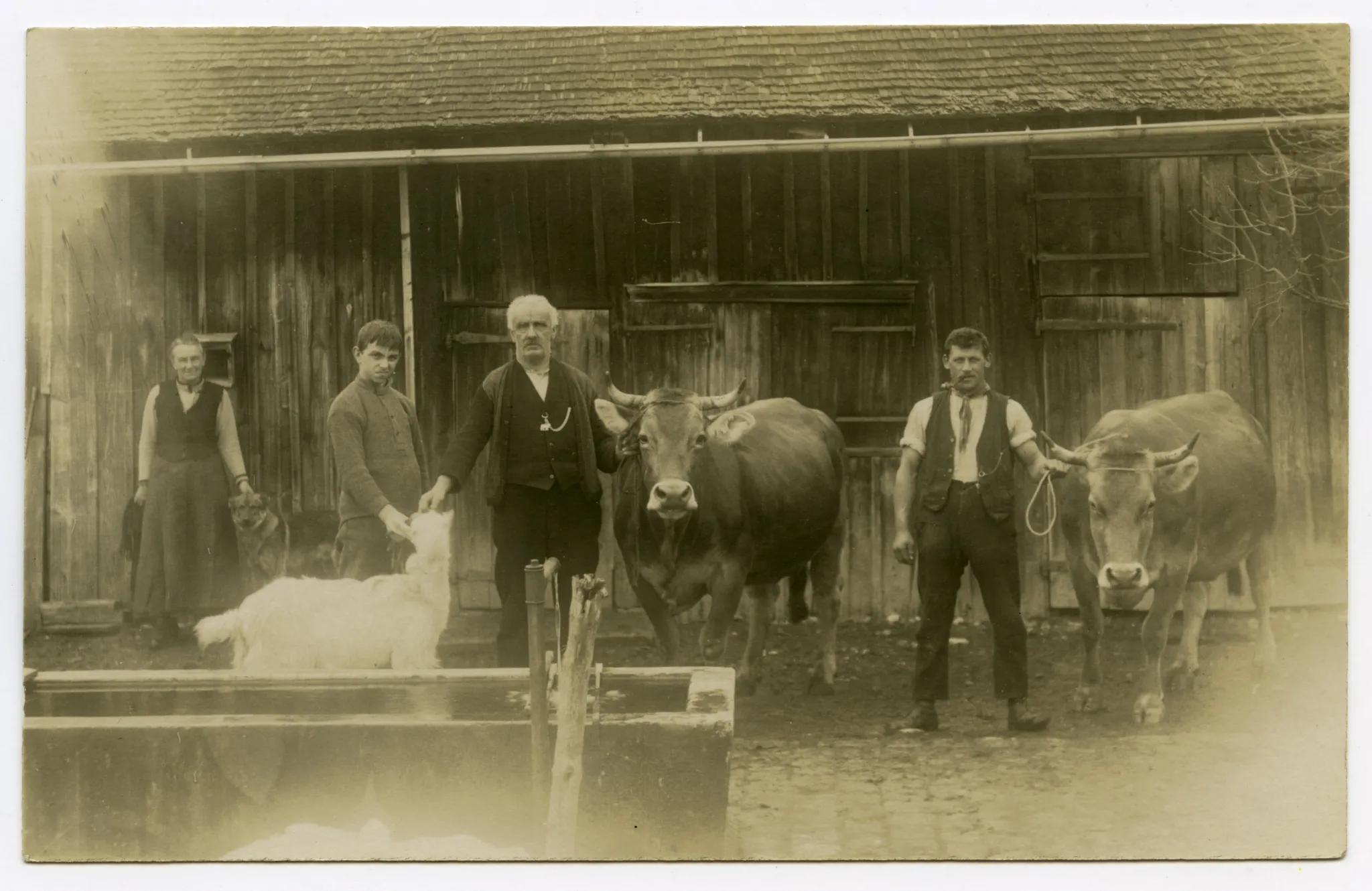 vor dem Stall mit Vieh, Ziege und Hund
