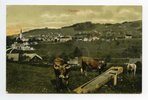 aus Gebiet Schlatterlehn, im Vordergrund Braunvieh an Holzbrunnen, mit Sammelbüel (alte Kath. Kirche), Zeughaus, Dorfzentrum, Blick zu Schwendibüel, Fernblick, Frölichsegg, Bad Sonder, Hüslersegg