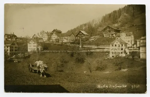 mit Elektromast und Kuh-Fuhrwerk auf Wiese beim Jaucheaustrag (vgl. Hc.21-02)