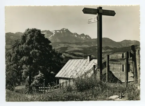 („Moosbänkli 1000 m.ü.M.“). Blick zum Alpstein