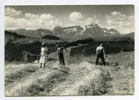 Ansicht von Bauern bei der Heuet, im Hintergrund Alpstein