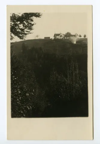 Ansicht von Norden mit Wiese und Wald im Vordergrund